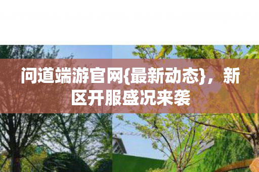 新区开服盛况来袭图片
