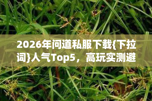 2026年问道私服下载{下拉词}人气Top5，高玩实测避雷