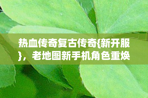 老地图新手机角色重焕生机图片