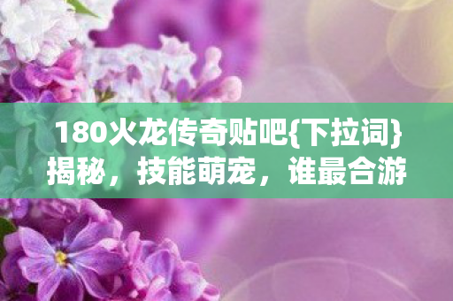 180火龙传奇贴吧图片