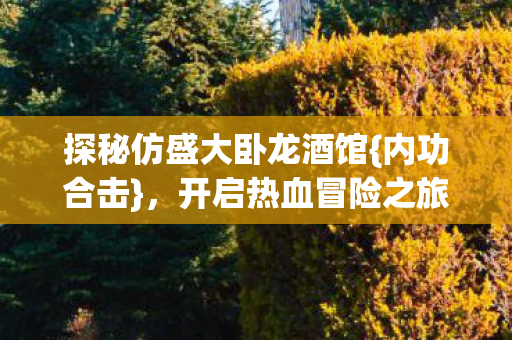 探秘仿盛大卧龙酒馆{内功合击}，开启热血冒险之旅！