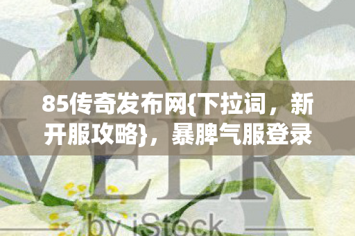暴脾气服登录闯关防坑指南图片