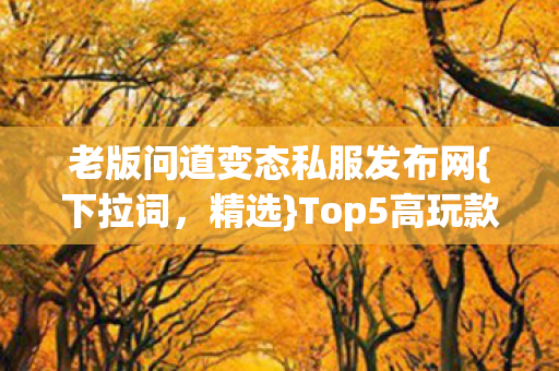 Top5高玩款与新手避雷指南图片