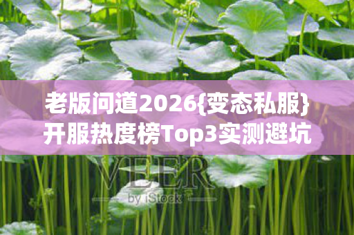 开服热度榜Top3实测避坑指南图片