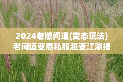老问道变态私服超变江湖揭秘图片
