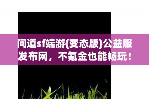 不氪金也能畅玩图片