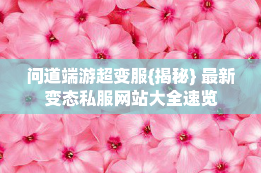 最新变态私服网站大全速览图片