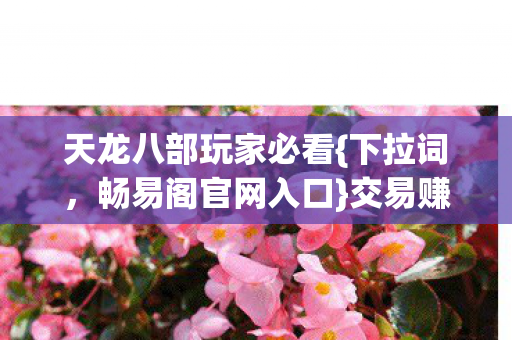 天龙八部玩家必看图片
