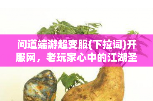 老玩家心中的江湖圣地图片