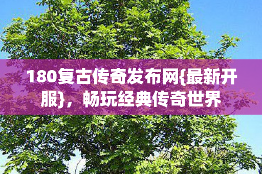 180复古传奇发布网图片