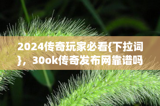30ok传奇发布网靠谱吗图片