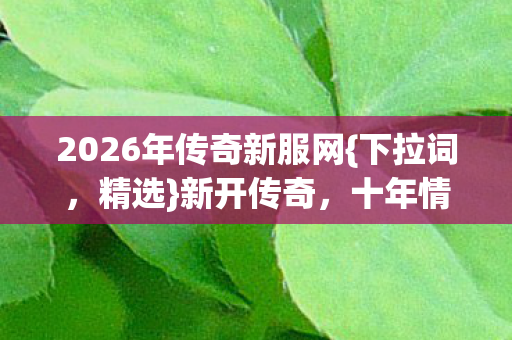 十年情怀玩家必看选服指南图片