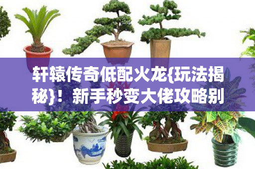 新手秒变大佬攻略别错过图片