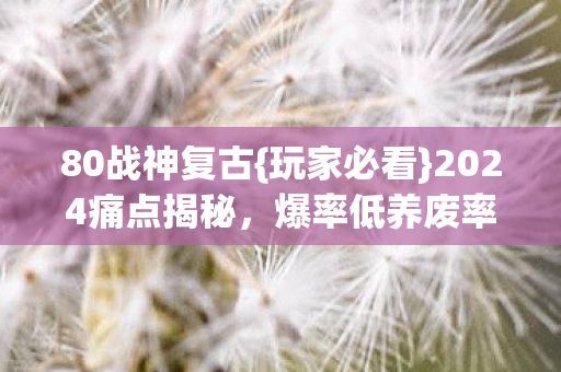 2024痛点揭秘图片