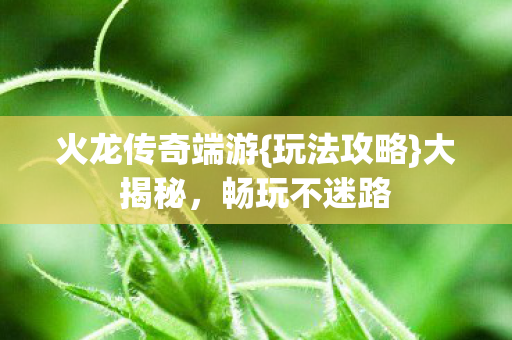 火龙传奇端游图片