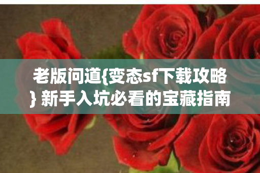 新手入坑必看的宝藏指南图片