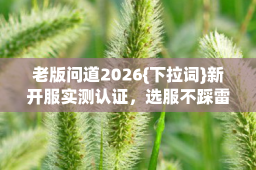 老版问道2026图片