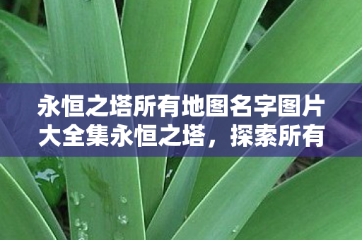 永恒之塔所有地图名字图片大全集永恒之塔，探索所有地图名字与图片大全，永恒之塔，探索所有地图名字与图片大全集