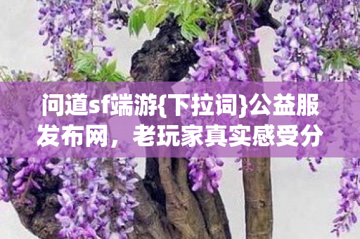 老玩家真实感受分享图片