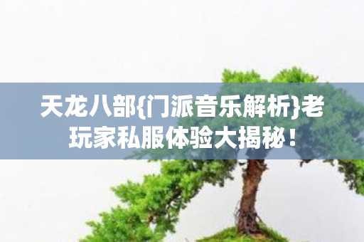 老玩家私服体验大揭秘图片