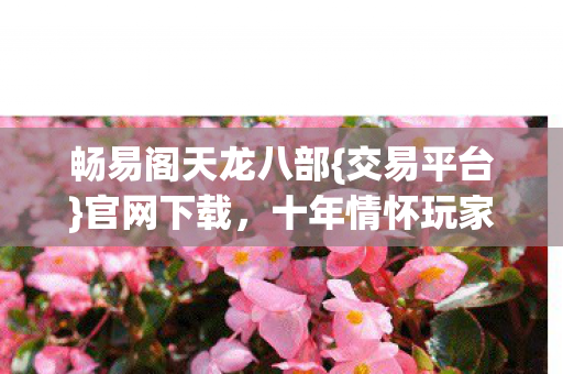 十年情怀玩家选服指南图片