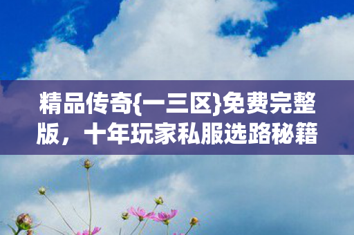 精品传奇{一三区}免费完整版，十年玩家私服选路秘籍
