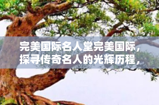 完美国际名人堂完美国际，探寻传奇名人的光辉历程，探寻传奇，完美国际名人堂的光辉历程