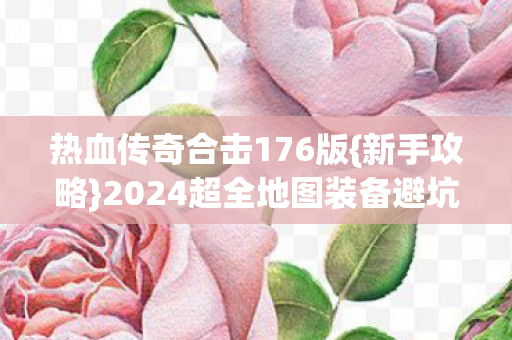2024超全地图装备避坑指南图片