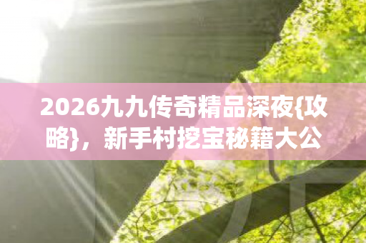 2026九九传奇精品深夜{攻略}，新手村挖宝秘籍大公开