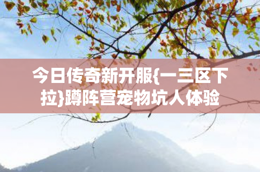 蹲阵营宠物坑人体验图片