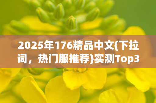 2025年176精品中文{下拉词，热门服推荐}实测Top3避坑率超高