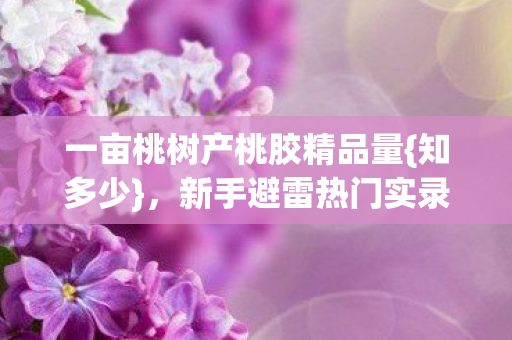 一亩桃树产桃胶精品量{知多少}，新手避雷热门实录