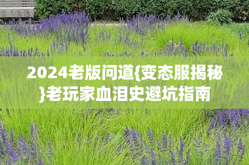 老玩家血泪史避坑指南图片