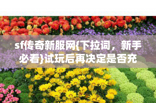试玩后再决定是否充钱图片