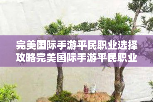 完美国际手游平民职业选择攻略完美国际手游平民职业选择，完美国际手游平民职业选择指南