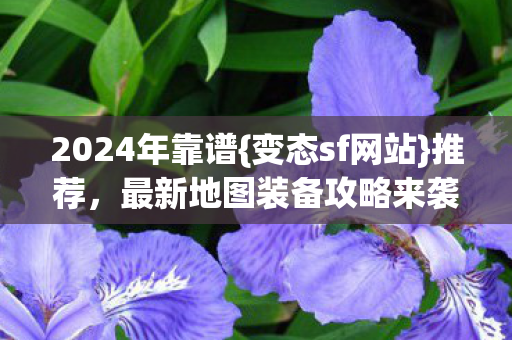 2024年靠谱{变态sf网站}推荐,最新地图装备攻略来袭 2024年靠谱{变态sf网站}推荐,最新地图装备攻略来袭