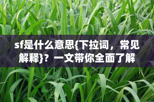 sf是什么意思{下拉词，常见解释}？一文带你全面了解