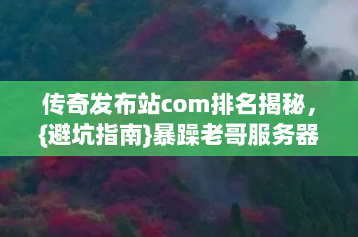 传奇发布站com排名揭秘，{避坑指南}暴躁老哥服务器经历