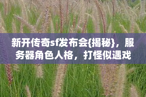 新开传奇sf发布会图片