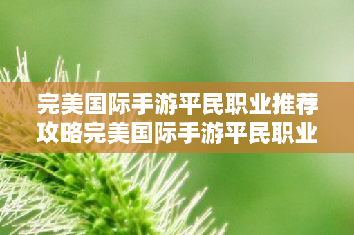 完美国际手游平民职业推荐攻略完美国际手游平民职业推荐，完美国际手游平民职业推荐指南