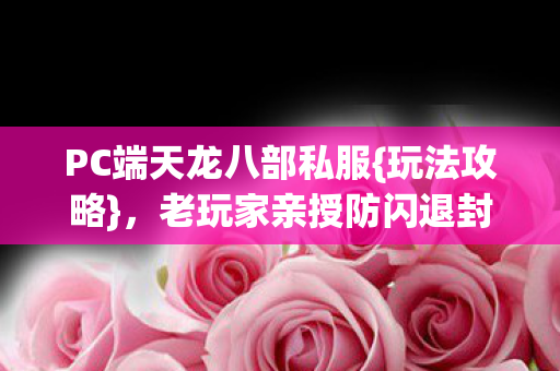 PC端天龙八部私服{玩法攻略}，老玩家亲授防闪退封号妙招