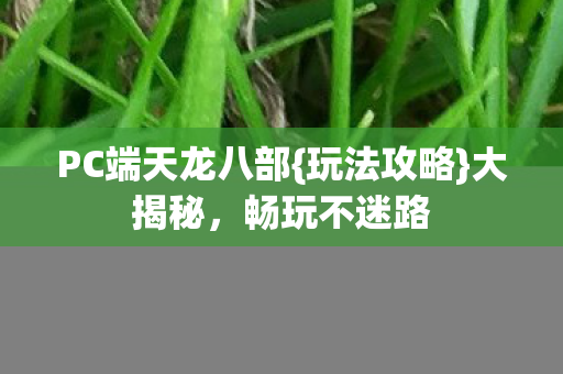 PC端天龙八部图片