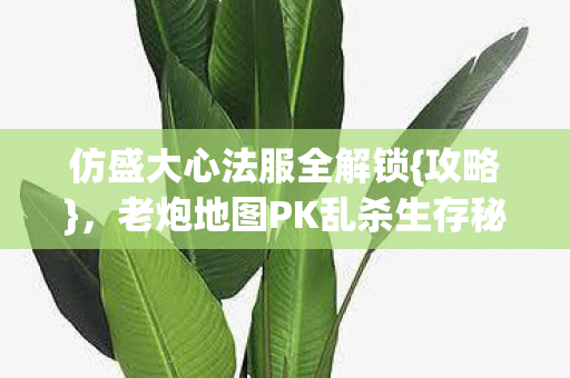 老炮地图PK乱杀生存秘籍图片