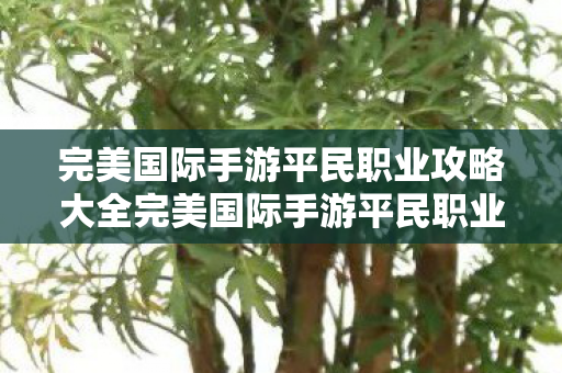 完美国际手游平民职业攻略大全完美国际手游平民职业攻略，完美国际手游平民职业攻略全解析
