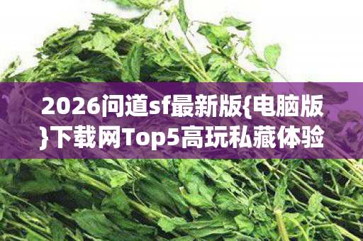 下载网Top5高玩私藏体验图片
