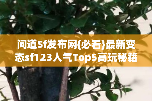 问道Sf发布网{必看}最新变态sf123人气Top5高玩秘籍 问道Sf发布网{必看}最新变态sf123人气Top5高玩秘籍