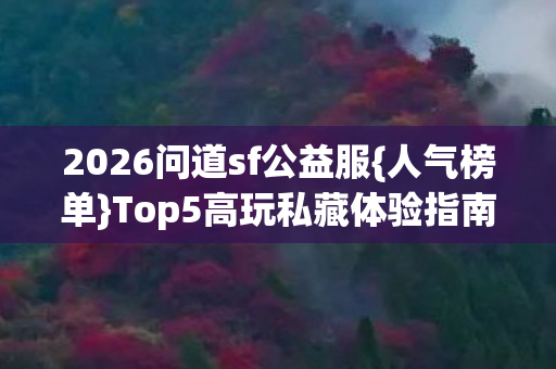 Top5高玩私藏体验指南图片