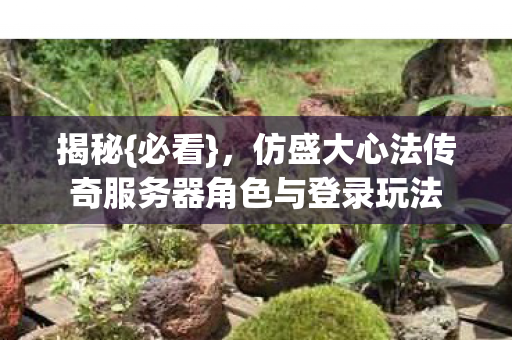 揭秘{必看}，仿盛大心法传奇服务器角色与登录玩法