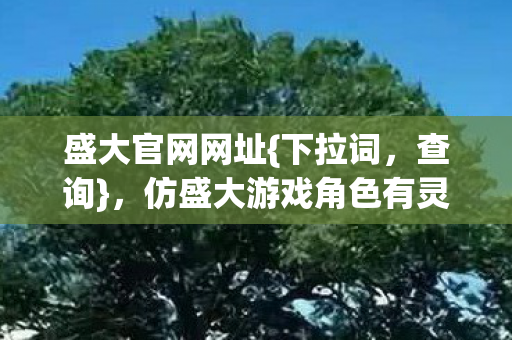 盛大官网网址{下拉词，查询}，仿盛大游戏角色有灵魂超好玩