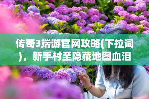 传奇3端游官网攻略{下拉词}，新手村至隐藏地图血泪经验
